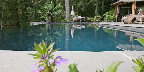 New Pool Appointment Family Image